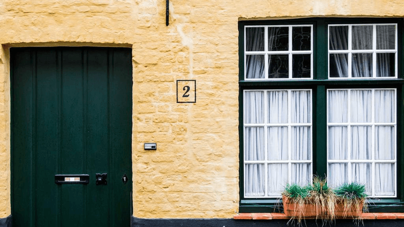 Bamboo - professional stock photography
