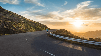 Bamboo - professional stock photography