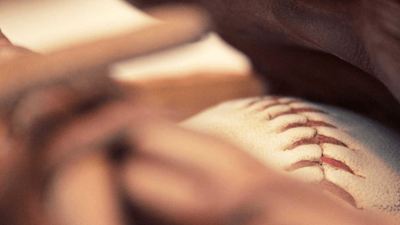 Compost - professional stock photography