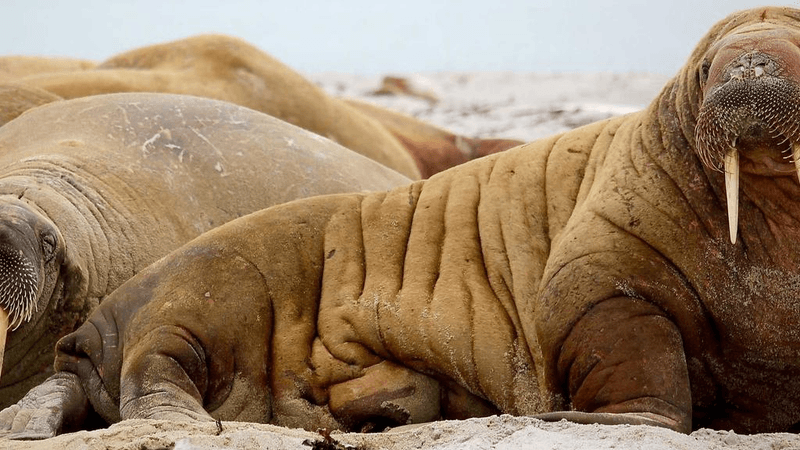 Compost - professional stock photography