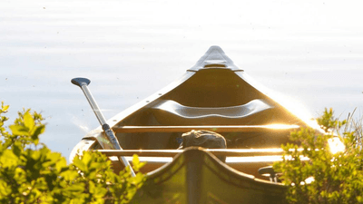 Conservation - professional stock photography