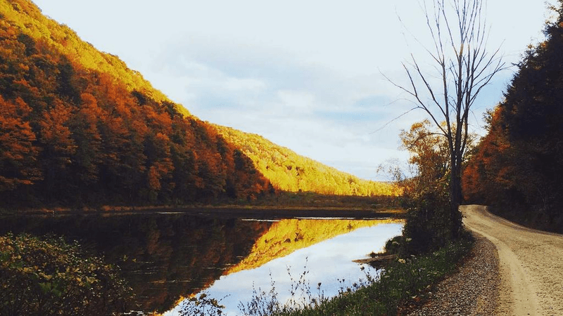 Conservation - professional stock photography