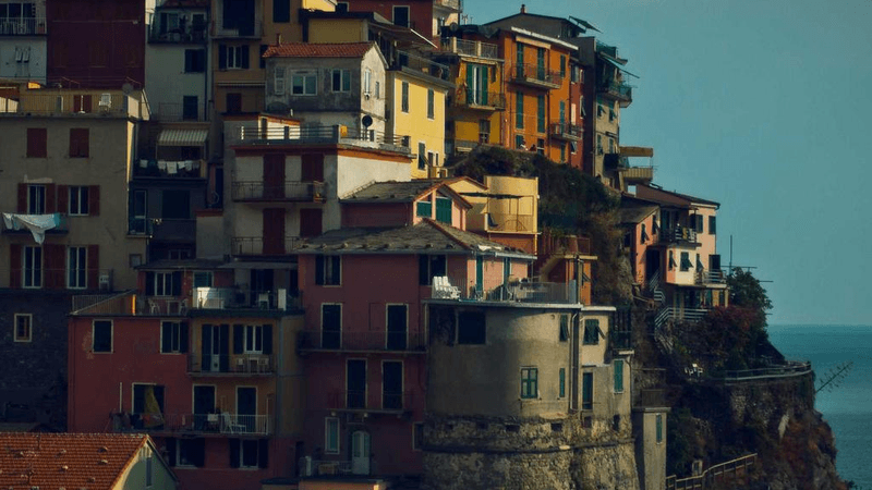 Conservation - professional stock photography