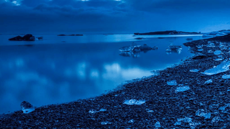 Conservation - professional stock photography