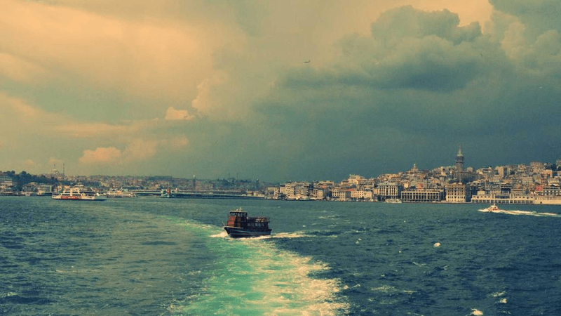 Conservation - professional stock photography