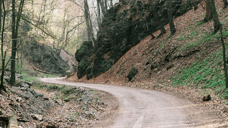 Conservation - professional stock photography