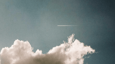 Eco Bag - professional stock photography