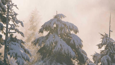 Eco Bag - professional stock photography