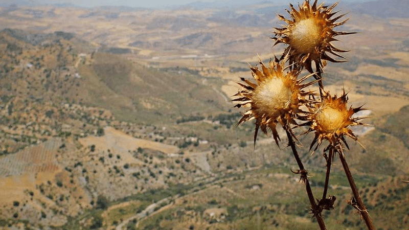 Electric Car - professional stock photography