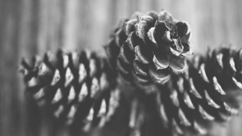 Electric Car - professional stock photography