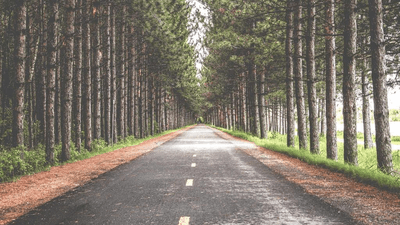 Electric Car - professional stock photography