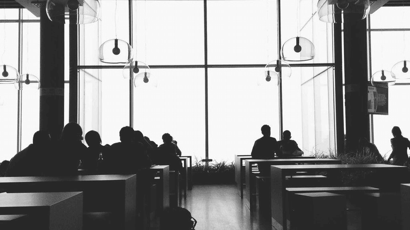 Forest - professional stock photography