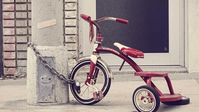 Nature - professional stock photography