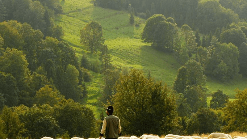 Ocean - professional stock photography