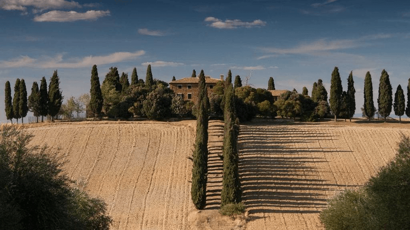 Rainwater - professional stock photography
