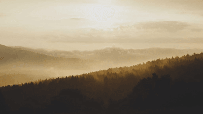 Recycle - professional stock photography