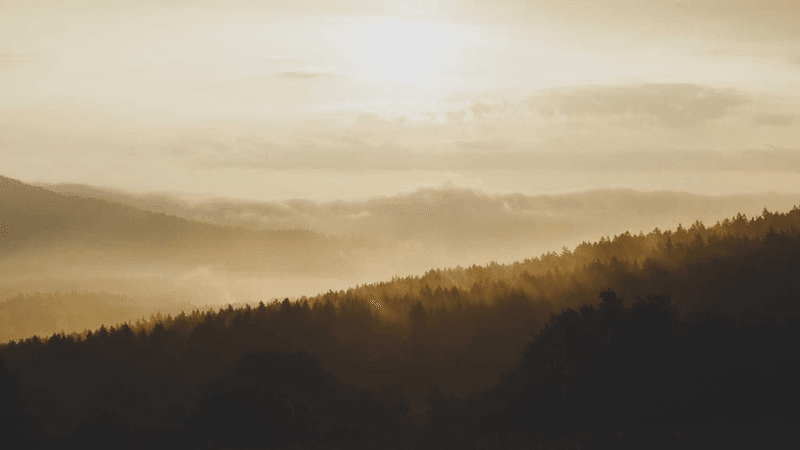 Recycle - professional stock photography