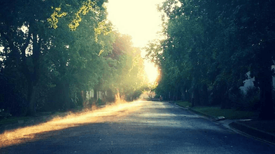 Reusable - professional stock photography