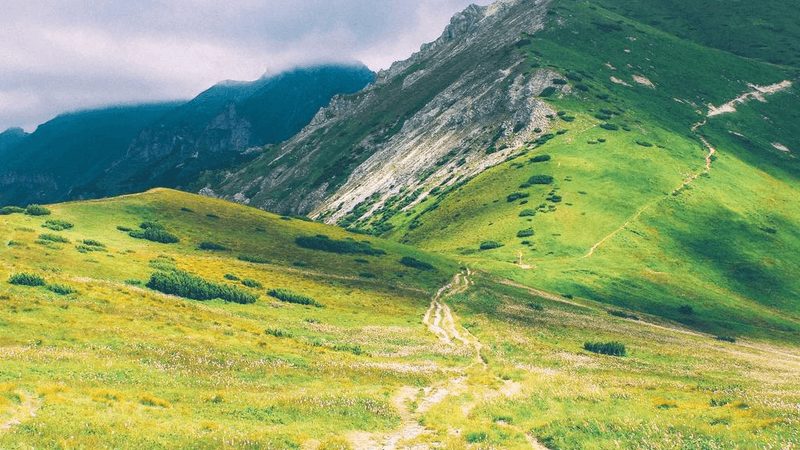 Reusable - professional stock photography