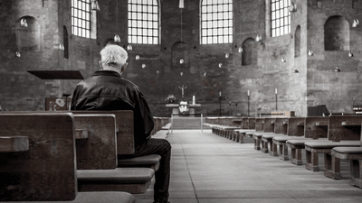 Tree - professional stock photography