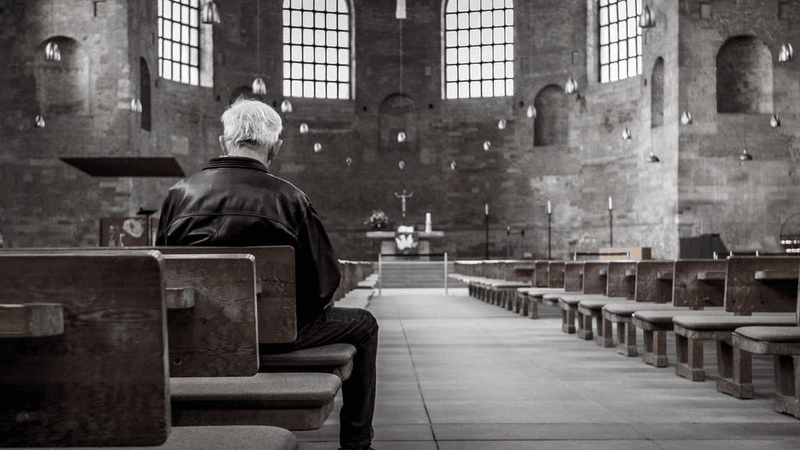 Tree - professional stock photography