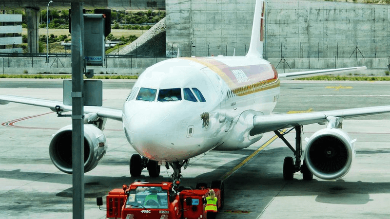 Tree - professional stock photography