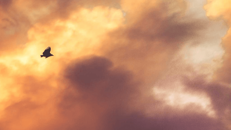 Water - professional stock photography