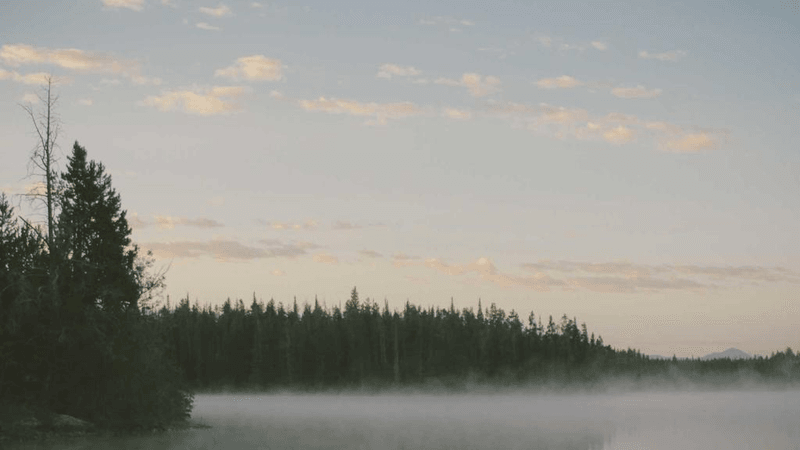 Wind - professional stock photography